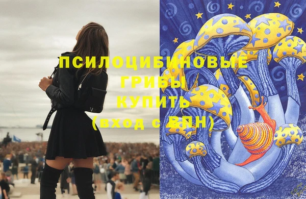 а пвп мука Верхний Тагил