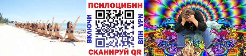 где купить наркоту  Химки  Галлюциногенные грибы мухоморы 