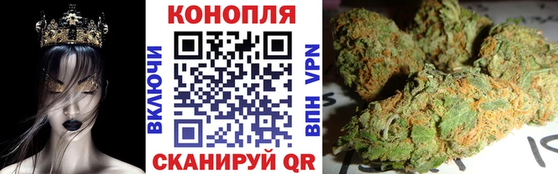 Бошки марихуана THC 21%  наркотики  Химки 